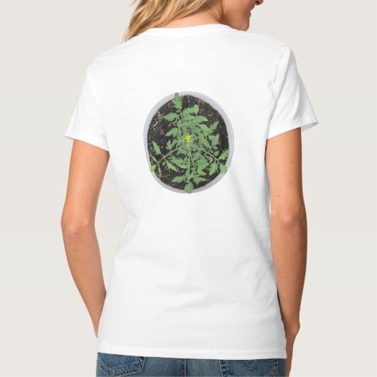 Shirt Plant van Heirloom Tomato (Achterkant)