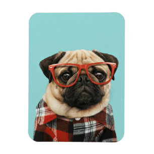 Shirt Pug Magneet