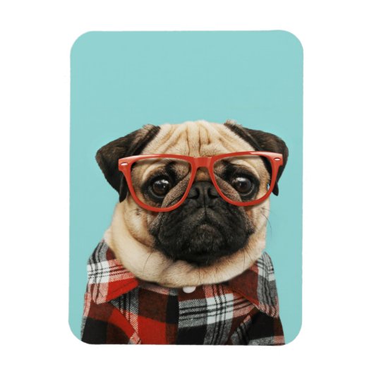 Shirt Pug Magneet (Verticaal)