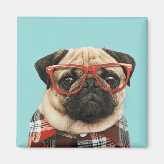 Shirt Pug Magneet (Voorkant)