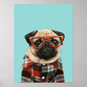 Shirt Pug Poster
