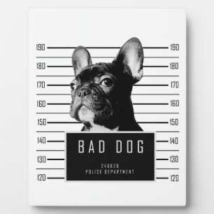 Shirt van Bulldog Mugshot Fotoplaat