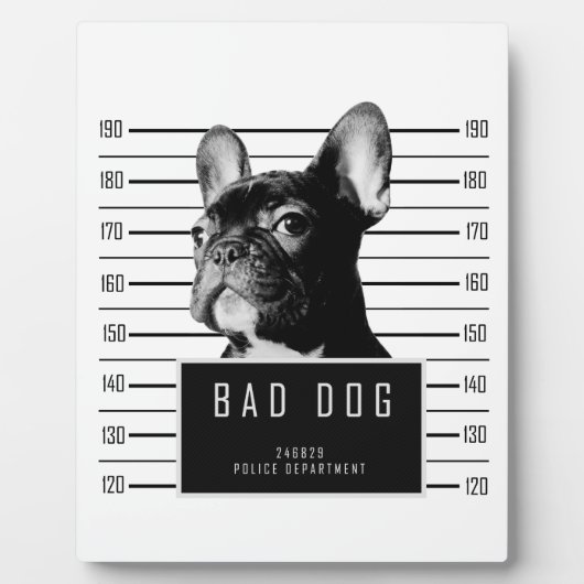 Shirt van Bulldog Mugshot Fotoplaat (Voorkant)