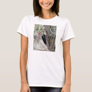 Shirt van wilde vogels: Pileated Woodpecker