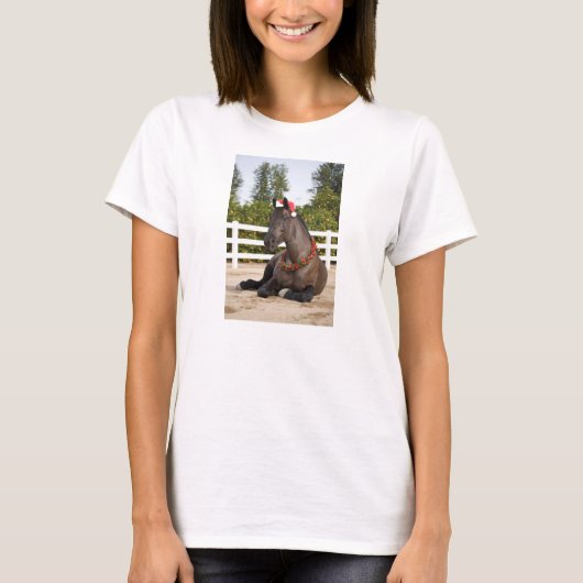 Shirt voor paardenkerst (Voorkant)