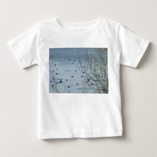Shirten van het vogelmeer (Voorkant)