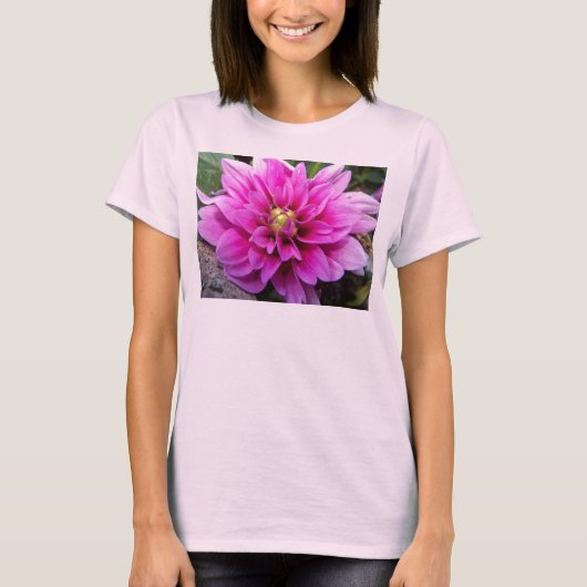 Shirts (Voorkant)