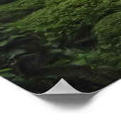 Shisendo Temple - Kyoto Japan Poster (Hoek)