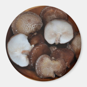 Shitake Paddenstoelen Magneet