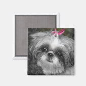 Shitzu Dog Square Magnet (Voorkant / Achterkant)