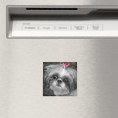 Shitzu Dog Square Magnet (Insitu (Vaatwasser))