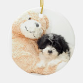 SHITZU EN TEDDY BEAR KERAMISCH ORNAMENT (Voorkant)
