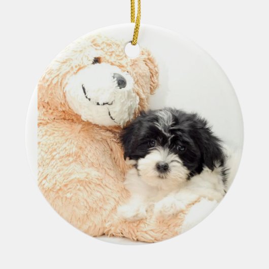 SHITZU EN TEDDY BEAR KERAMISCH ORNAMENT (Voorkant)