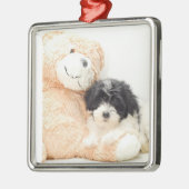 ***SHITZU EN TEDDYBEAR** ORNAMENT (Links)