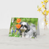 Shitzu Girl Wenskaart Kaart (Gele Bloem)