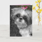 Shitzu Girl Wenskaart Kaart (Gele Bloem)