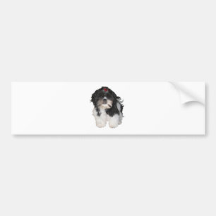 Shitzu Shih Tzu Puppies Honden Bumpersticker