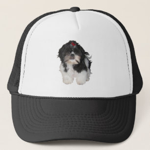 Shitzu Shih Tzu Puppy Dogs Trucker Pet