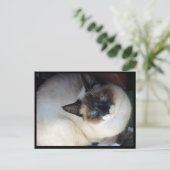 Shiva de Snowshoe Briefkaart (Staand voorkant)