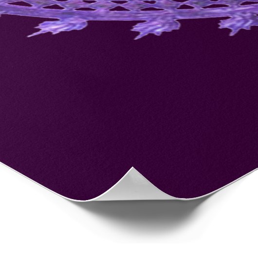 Shiva Nataraj poster (Hoek)