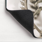 Shiva Nataraja, Dravidian Muismat (Hoek)