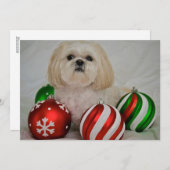 Shiz Tzu met kerstversiering Feestdagenkaart (Voorkant / Achterkant)