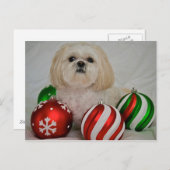 Shiz Tzu met kerstversiering Feestdagenkaart (Voorkant / Achterkant)