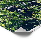 Shoal Bay Port Stephens NSW Poster (Hoek)