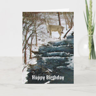 Shoal Creek in Winter met Deer Mannen Birthday Kaart