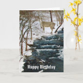 Shoal Creek in Winter met Deer Mannen Birthday Kaart (Gele Bloem)