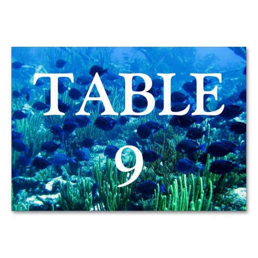 Shoal of Blue Discus Fish Kaart (Voorkant)