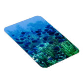 Shoal of Blue Discus Fish Magneet (Rechterzijde)
