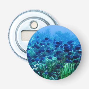 Shoal of Blue Discus Fish Onderwater Foto Button Flesopener