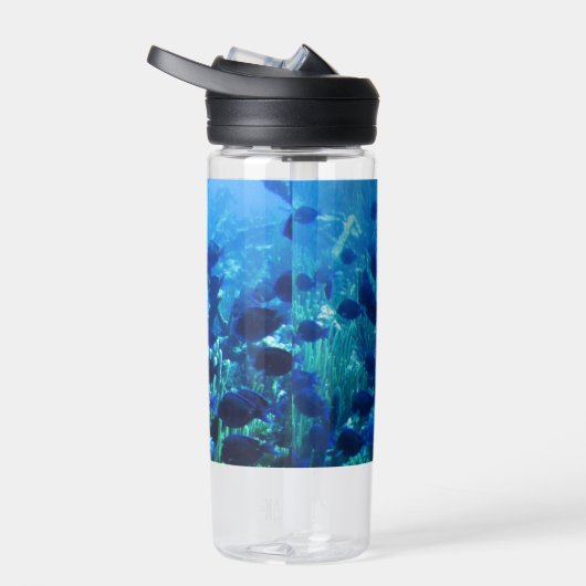 Shoal of Blue Discus Fish Waterfles (Rechts)