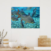 Shoal of fish animal poster (Keuken)