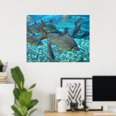 Shoal of fish animal poster (Thuiskantoor)