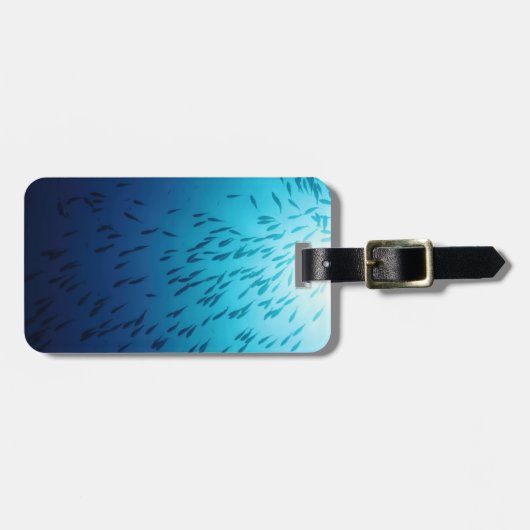 Shoal of fish bagagelabel (Voorkant horizontaal)