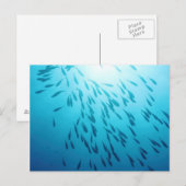 Shoal of fish briefkaart (Voorkant / Achterkant)