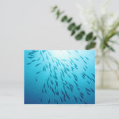 Shoal of fish briefkaart (Staand voorkant)