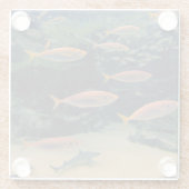 Shoal of Fish Glazen Onderzetter (Achterkant)