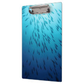 Shoal of fish klembord (Links)