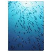 Shoal of fish klembord (Achterkant)