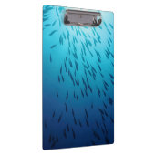 Shoal of fish klembord (Rechts)