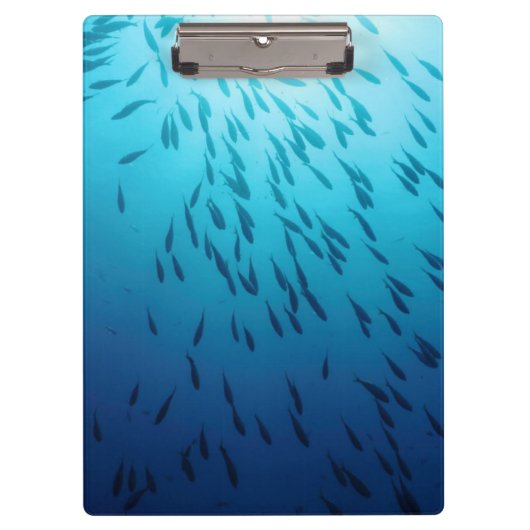 Shoal of fish klembord (Voorkant)