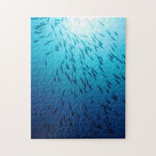 Shoal of fish legpuzzel (Verticaal)