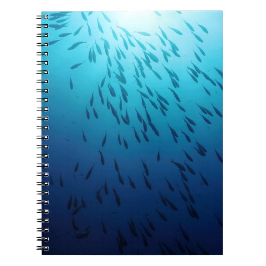 Shoal of fish notitieboek (Voorkant)