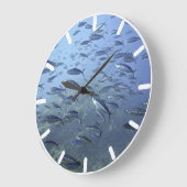 Shoal of Fish. Onderwater duiken. Grote Klok (Hoek)