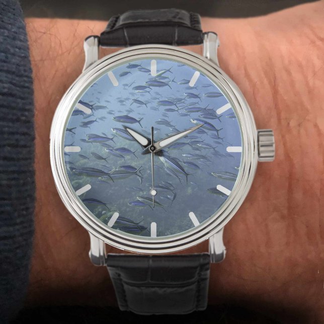 Shoal of Fish. Onderwater duiken. Horloge (Creator heeft geüpload)