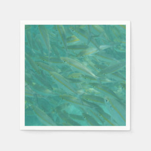 Shoal of Fish onderwater foto Servet