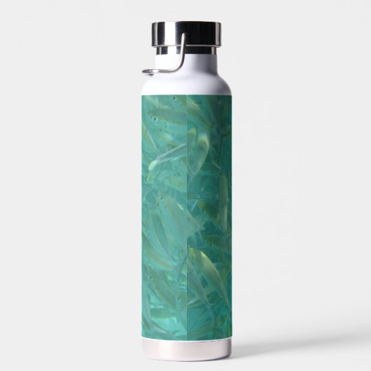 Shoal of Fish Waterfles (Rechts)